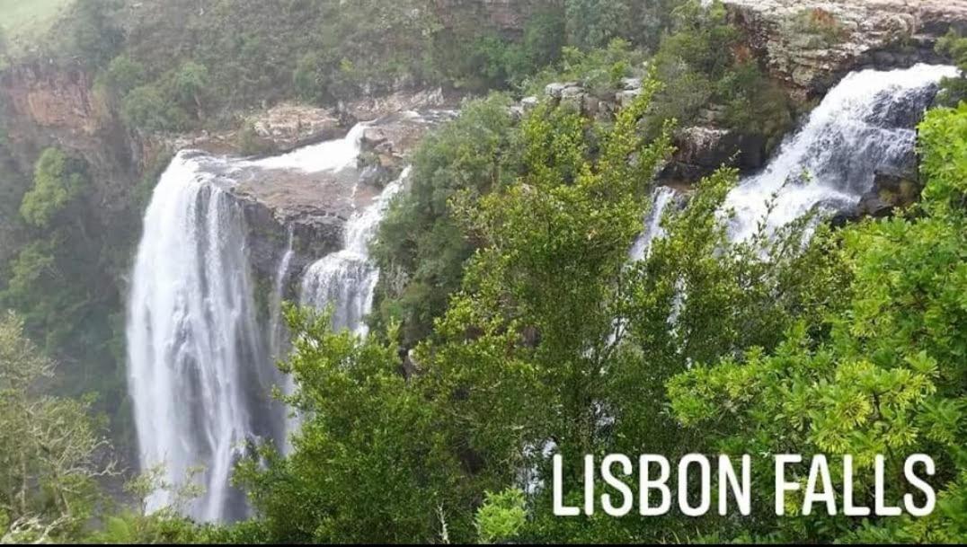 Lisbon Eco Lodge جراسكوب المظهر الخارجي الصورة