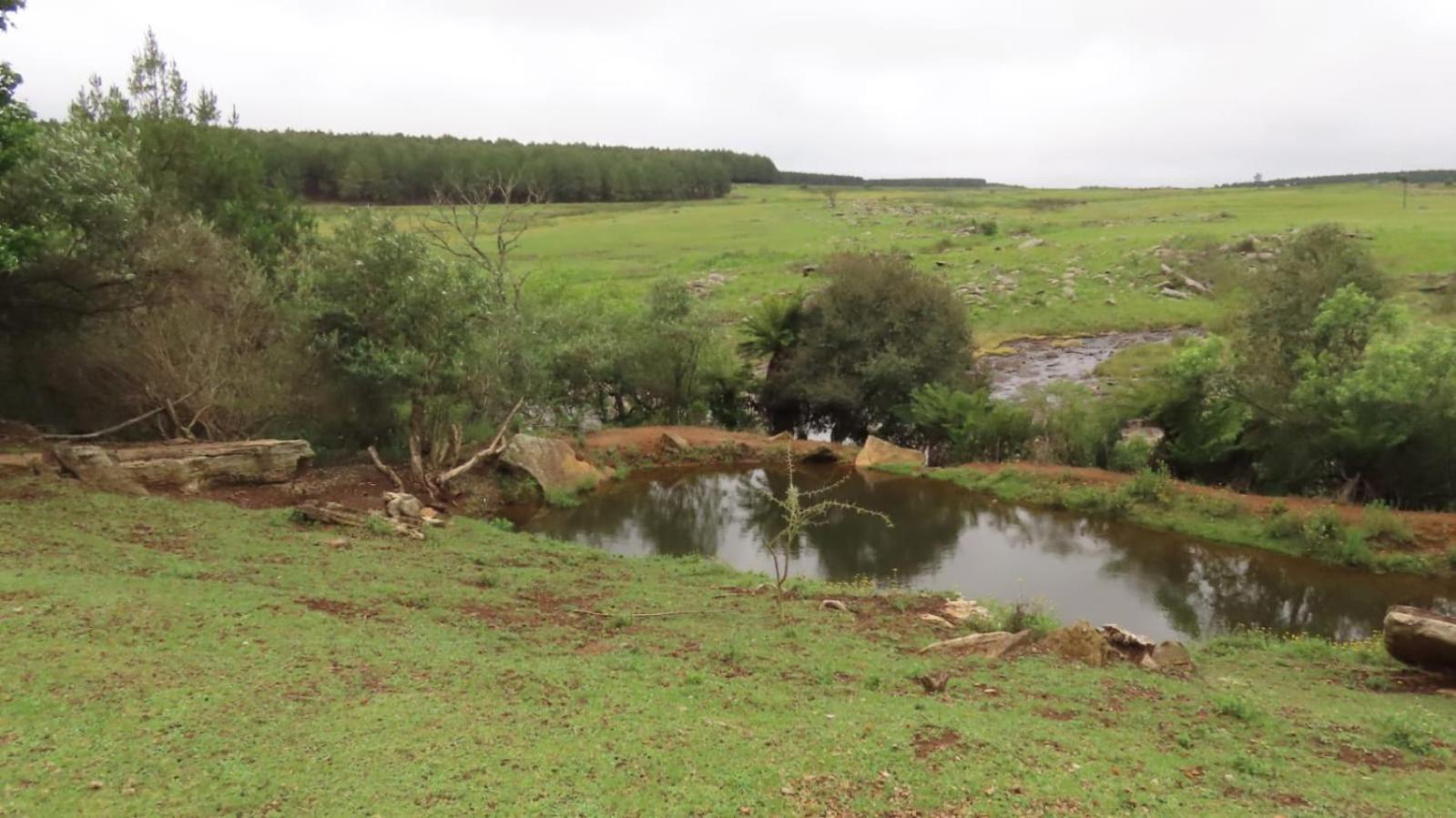 Lisbon Eco Lodge جراسكوب المظهر الخارجي الصورة